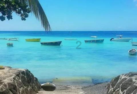 秋季浪漫约会